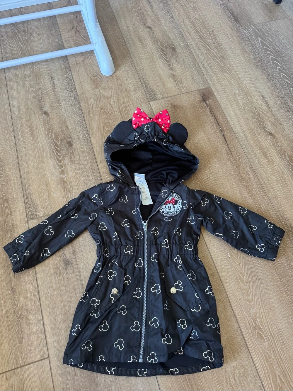 Disney junior minnie